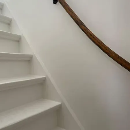 De Wilde Roos Wijk aan Zee