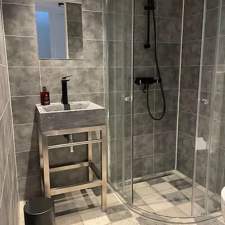 Apartment De Wilde Roos Wijk aan Zee