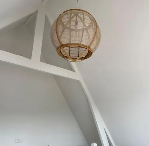 De Wilde Roos * Wijk aan Zee