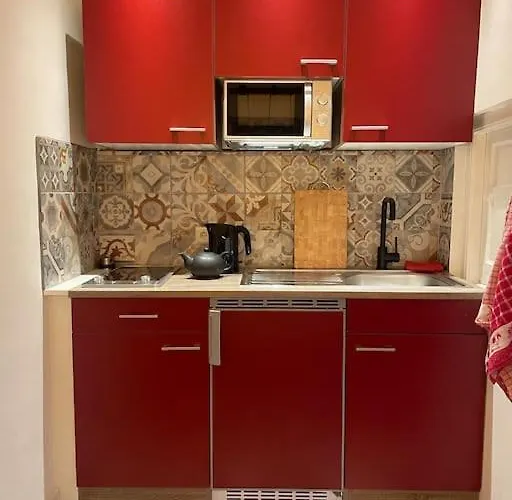 De Wilde Roos Wijk aan Zee