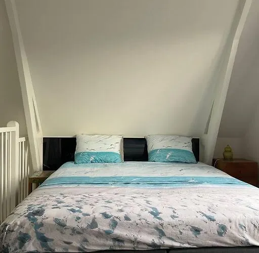 Appartamento De Wilde Roos