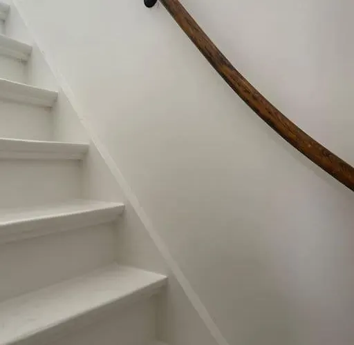 De Wilde Roos Wijk aan Zee